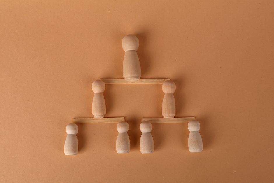 Un'organizzazione che cresce con te